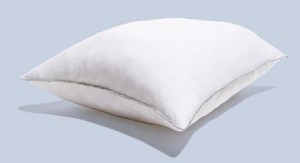 Queen Anne Syntetkudde Medium